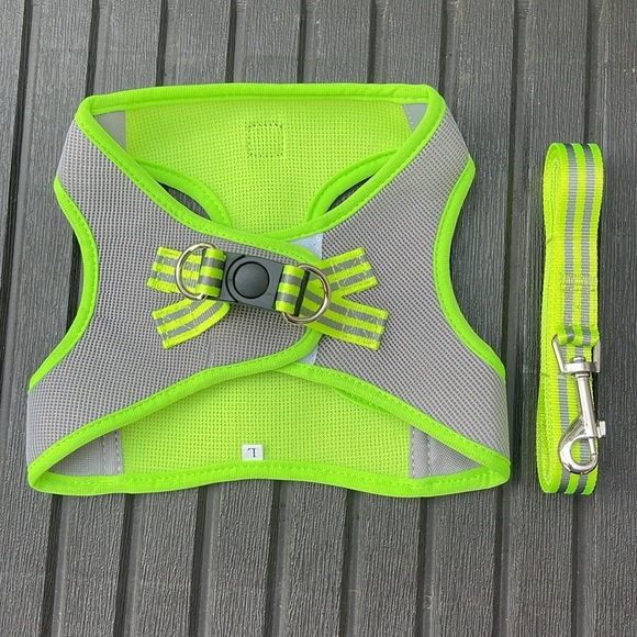 Kelly Pet - Neon Green Reflective Small Dog Harness & Leash - Picture 1 of 13